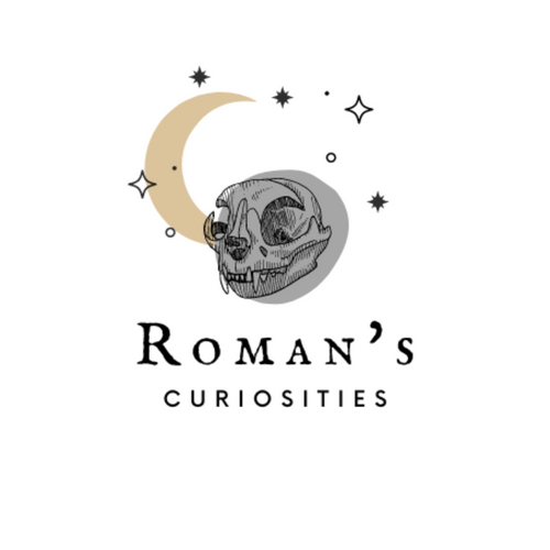Romans Curiosities 